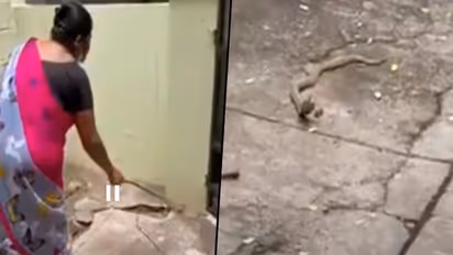 Woman kindly asks the cobra to leave her house; watch viral video