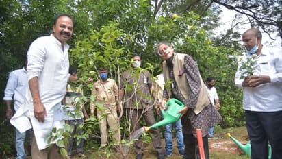 గ్రీన్ ఇండియా ఛాలెంజ్ భేష్.. శశి థరూర్... మొక్కలు నాటిన ఐటీ పార్లమెంటరీ స్టాండింగ్ కమిటీ సభ్యులు..