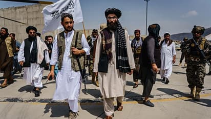 US praises Taliban for being 'business-like, professional' in arranging latest evacuation