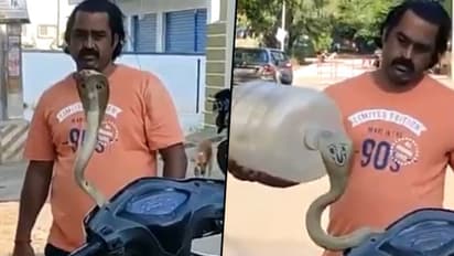 Man applies unique method to rescue the snake from scooter; watch video