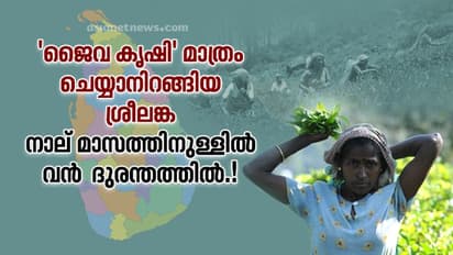 'പൂര്‍ണ്ണമായും ജെവ കൃഷി മാത്രം' സര്‍ക്കാര്‍ നയത്തിനാല്‍ വന്‍ ദുരന്തത്തിന്‍റെ വക്കില്‍ ശ്രീലങ്ക