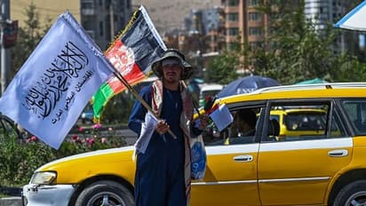 পাক জয়ে উচ্ছ্বসিত কাশ্মীরি পড়ুয়াদের বিরুদ্ধে কোনও ব্যবস্থা নয়, হুঁশিয়ারি জঙ্গি সংগঠনের