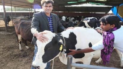 ലക്ഷങ്ങളുടെ ജോലിയുപേക്ഷിച്ച് ഗ്രാമത്തിലേക്ക്, കോർപറേറ്റ് ജോലിക്ക് പകരം ക്ഷീരവ്യവസായം