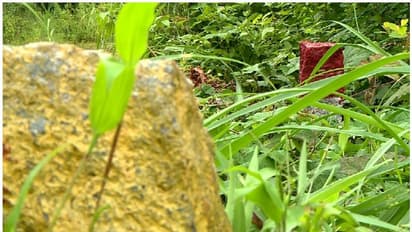 ദേശീയപാതാ വികസനം; കൂടുതല് സ്ഥലം ഏറ്റെടുക്കുന്നതായി പരാതികള്, കാസര്കോട് നൂറോളം പരാതികള്