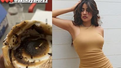 ശരിക്കും 'ഫുഡ്ഡി' തന്നെ; ജാന്‍വി കപൂര്‍ പങ്കുവച്ച ചിത്രം ശ്രദ്ധേയമാകുന്നു