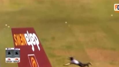 കേരളപ്പറവ! ജോണ്ടിയെ വെല്ലും ക്യാച്ചുമായി മലയാളി; ഹമ്മോ, കണ്ടവരുടെ കിളി പോയി -വീഡിയോ