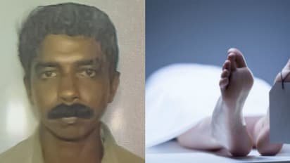 തീറ്റ കൊടുക്കുന്നതിനിടെ ആന ആക്രമിച്ചു, പാപ്പാന് ദാരുണാന്ത്യം