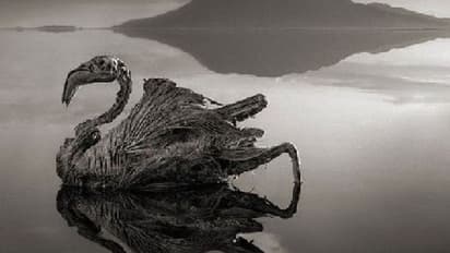 Lake natron 8