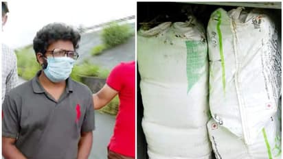 പാലക്കാട് വൻ കഞ്ചാവ് വേട്ട; ബംഗാളിൽ നിന്നുള്ള ബസിൽ കടത്താൻ ശ്രമിച്ച 200 കിലോ കഞ്ചാവ് പിടികൂടി