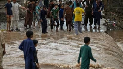 তান্ডব চলছে পাকিস্তানে, ইমরান খান সরকারকে নাকানিচোবানি খাইয়ে একদিনে মৃত ১৭