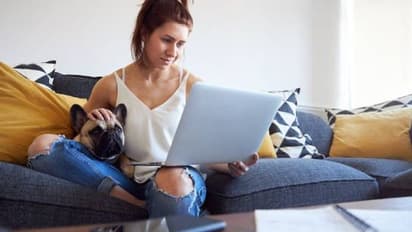 കൊറോണയെത്തുടർന്നുള്ള നിയന്ത്രണങ്ങളിൽ ഇളവുകളായി, നായ്ക്കളെ ഉപേക്ഷിക്കുന്ന ഉടമകളുടെ എണ്ണത്തിൽ വൻവർധന