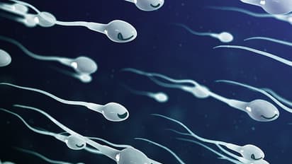 പുരുഷന്മാരുടെ ബീജത്തിന്റെ അളവും ഗുണനിലവാരവും കുറഞ്ഞ് വരുന്നതിന്റെ കാരണങ്ങൾ; പഠനം പറയുന്നത്