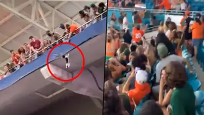 അവിടെ ഗ്രൗണ്ടിൽ കടുത്ത മത്സരം; ഇവിടെ ഗാലറിയിൽ തൂങ്ങിയാടുന്ന പൂച്ച; ഒടുവിൽ സംഭവിച്ചത്...