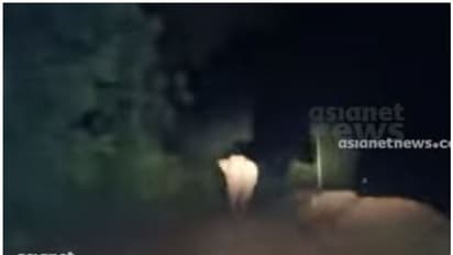 അട്ടപ്പാടിയില് ഒറ്റയാനിറങ്ങി, വനപാലക സംഘത്തിന് നേരെ പാഞ്ഞടുത്തു; വീഡിയോ