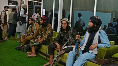 Taliban की हायर एजुकेशन में धार्मिक शिक्षा लागू, लड़के-लड़कियों के लिए अलग-अलग क्लास चलेगी