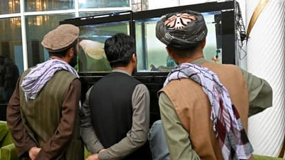 யார் தலைமையில் ஆட்சி..? ஆப்கானிஸ்தானில் முக்கியத் தலைவர்களுக்குள் அடிதடி..!