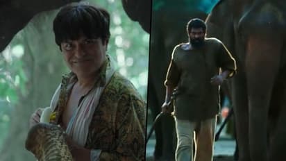 Haathi Mere Saathi trailer out: Rana Daggubati on a mission to save elephants, jungle