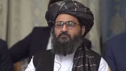 বরাদরকে ঘুসি হাক্কানির, তালিবানি বৈঠকের মধ্যেই গুলিযুদ্ধ - সামনে এল অন্তর্দ্বন্দ্ব