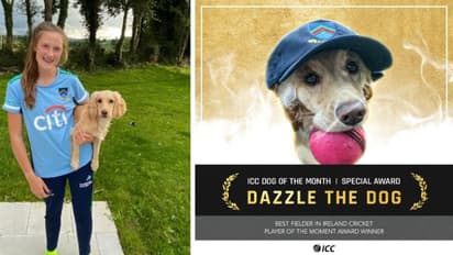 റൂട്ട് കഴിഞ്ഞ മാസത്തെ ഐസിസി താരം; തകര്പ്പന് ഫീല്ഡിംഗിന് വളര്ത്തുനായക്ക് സ്പെഷ്യല് അവാര്ഡ്- വീഡിയോ