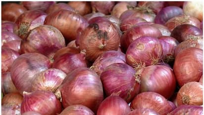 കരയാതെ സവാള അരിയാന് ഇതാ ഒരു 'ടിപ്'; വീഡിയോ വൈറല്