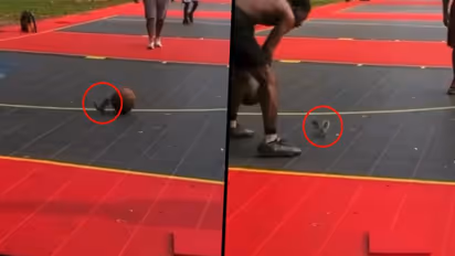 মানুষের সঙ্গে সমান তালে বাস্কেটবল খেলল কাঠবিড়ালি, দেখুন ভাইরাল ভিডিও