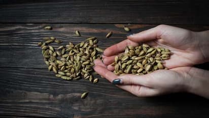 ഓൺലൈൻ വഴി ഏല ലേലം; അതും ഒരു ദിവസം 75000 കിലോഗ്രാം