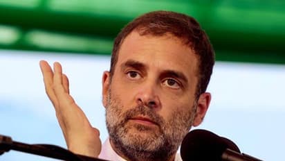 BJP वाले हिन्दू नहीं हैं, मैं किसी भी विचारधारा से समझौता कर सकता हूं RSS से नहीं: राहुल गांधी