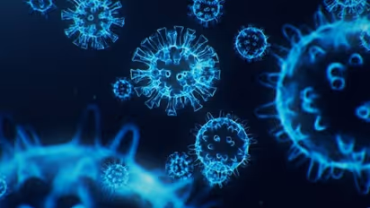 COVID scare in Bengaluru BSF campus: 49 more soldiers test positive for coronavirus