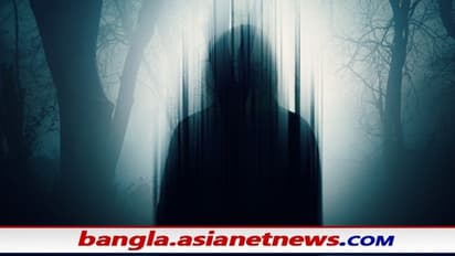 New Job: মাত্র ১৩টি ভূতের সিনেমা দেখে লক্ষ টাকা আয়ের সুবর্ণ সুযোগ, মার্কিন সংস্থায় চাকরির শর্তগুলি জেনে নিন