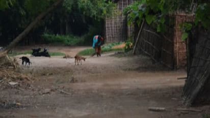 ভারতে রয়েছে পাকিস্তান নামের একটি গ্রাম, বাসিন্দারা সবাই হিন্দু, জানতেন কি