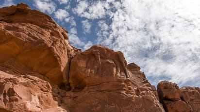 സൗദി അറേബ്യയിലെ ഒട്ടക ശില്പങ്ങള്‍ക്ക് 7000 ത്തിനും 8000 ത്തിനും ഇടയില്‍ പഴക്കമെന്ന് പുരാവസ്തു ഗവേഷകര്‍