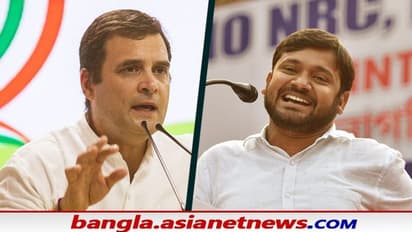Kanhaiya Kumar: বাম ছেড়ে কি কংগ্রেসে ইনিংস শুরু কানাইয়ার রাহুল গান্ধীর সঙ্গে সাক্ষাৎ ঘিরে জল্পনা