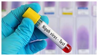 ഭീഷണിയായി നിപ; നിയന്ത്രണങ്ങൾ മറികടന്ന് കോഴിക്കോട് അത്ലറ്റിക് അസോസിയേഷൻ സെലക്ഷൻ ട്രയൽ