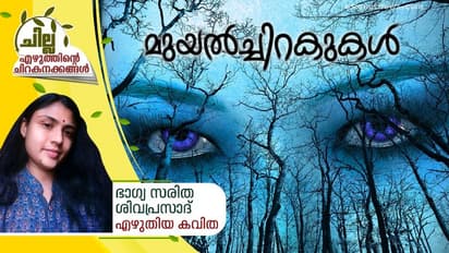 മുയല്ച്ചിറകുകള്