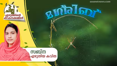 മഗ്രിബ്