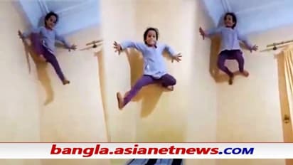 Viral Video - স্পাইডারম্যানের কি মেয়ে হল, মাকড়সার মতো দেওয়াল বেয়ে উঠে যাচ্ছে পুঁচকে, দেখুন