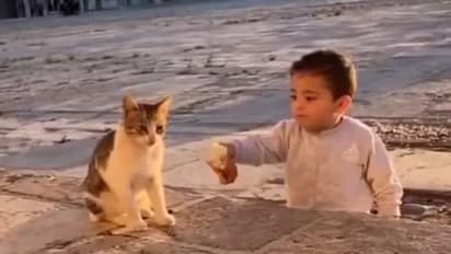 'ഷെയറിംഗ് ഈസ് കെയറിംഗ്', പൂച്ചക്കുഞ്ഞിനൊപ്പം ഭക്ഷണം പങ്കുവച്ച് കുരുന്ന്, വൈറലായി വീഡിയോ