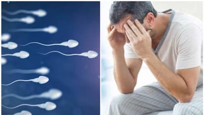 ശുക്ലത്തിന്റെ അളവും ബീജത്തിന്റെ ഗുണവും തമ്മിൽ എന്തുബന്ധം?