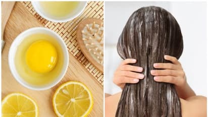 மெல்லிய, வறண்ட கூந்தல் மீண்டும் உயிர்ப்பிக்க இந்த முட்டை ஹேர் பேக் ட்ரை பண்ணுங்க!