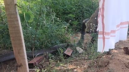 അപ്രതീക്ഷിതമായി കണ്‍മുന്നില്‍ ഇങ്ങനെയൊരാള്‍ വന്നുപെട്ടാലോ!