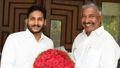 మంత్రి వర్గ పునర్వ్యస్ధీకరణ .. ఇంకా ఫోన్ రాలేదు, జగన్ నిర్ణయమే ఫైనల్ : పెద్దిరెడ్డి రామచంద్రారెడ్డి