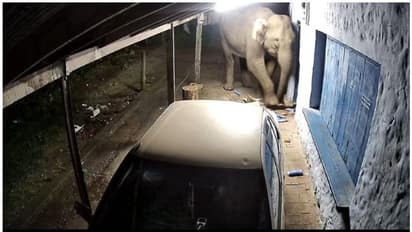 പുണ്യവേലിനെ വിടാതെ കാട്ടാനകള്; പതിനാലാം തവണയും വ്യാപാര സ്ഥാപനം തകര്ത്തു