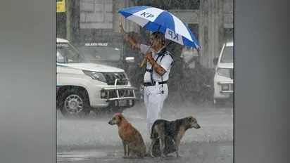 Cop gives shelter to dogs under his umbrella amid heavy rain; heartwarming picture goes viral