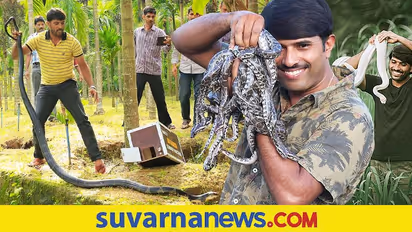 4,800ಕ್ಕೂ ಹೆಚ್ಚು ಹಾವುಗಳ ರಕ್ಷಿಸಿದ ಸ್ನೇಕ್ ಕಿರಣ್