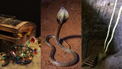 വീടിനുള്ളില്‍ സ്ഥിരമായി മൂര്‍ഖന്‍ പാമ്പ്, നിധിയാണെന്ന് മലയാളി മന്ത്രവാദി; ദമ്പതികള്‍ക്ക് സംഭവിച്ചത്