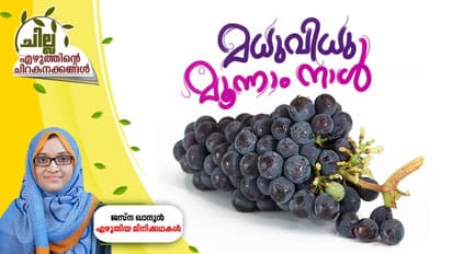 മധുവിധു മൂന്നാം നാള്!