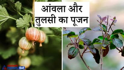 इन पेड़ों की पूजा करने और जल चढ़ाने से दूर हो सकती हैं हमारी परेशानियां