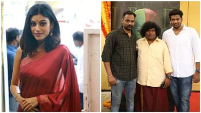 யோகி பாபு - ஓவியா முதல் முறையாக இணைந்து நடிக்கும் 'கான்ட்ராக்டர் நேசமணி' படப்பிடிப்பு துவங்கியது!!