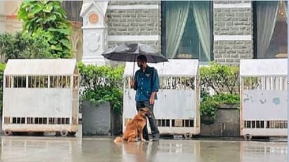 ಮಳೆಗೆ ಆಸರೆ ಹುಡುಕುತ್ತಿದ್ದ ನಾಯಿಗೆ ಕೊಡೆ ಹಿಡಿದ ಉದ್ಯೋಗಿ; ಹೃದಯಸ್ಪರ್ಶಿ ಘಟನೆ ಕೊಂಡಾಡಿದ ಟಾಟಾ!