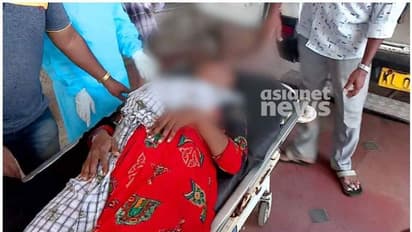 തൃക്കുന്നപ്പുഴയിൽ ആരോഗ്യപ്രവർത്തകയെ ആക്രമിച്ച് തട്ടിക്കൊണ്ടുപോകാൻ ശ്രമിച്ച കേസ്: ഇരുട്ടിൽ തപ്പി പൊലീസ്